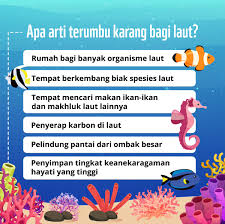 Terumbu Karang dan Fungsinya